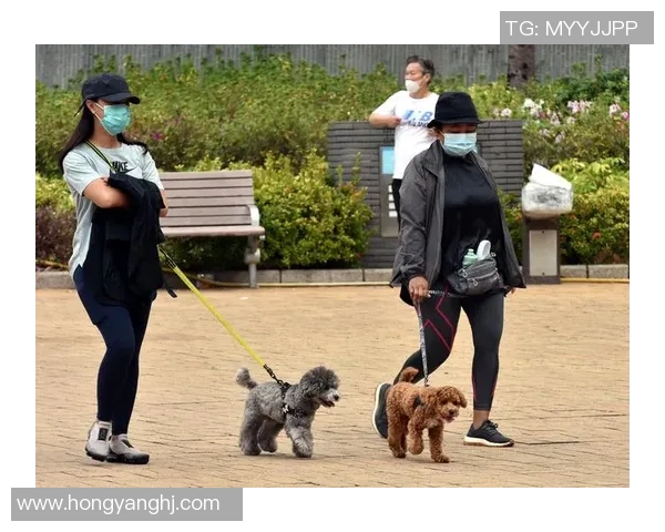 东方日报即时报道：香港疫情反弹势头加剧 政府呼吁市民加强防疫措施