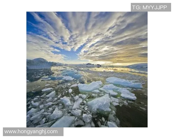 全球气候变化引发极端天气频发，各国加强应对措施共同抗击自然灾害挑战